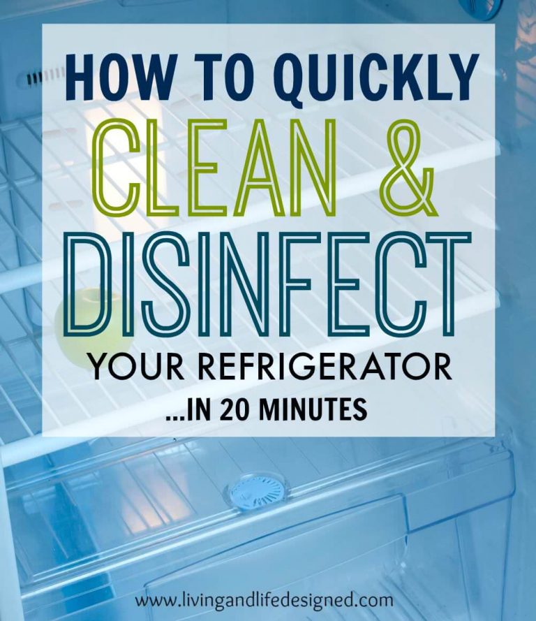 Refrigerator Cleaning Guide to Clean & Disinfect Your Refrigerator in