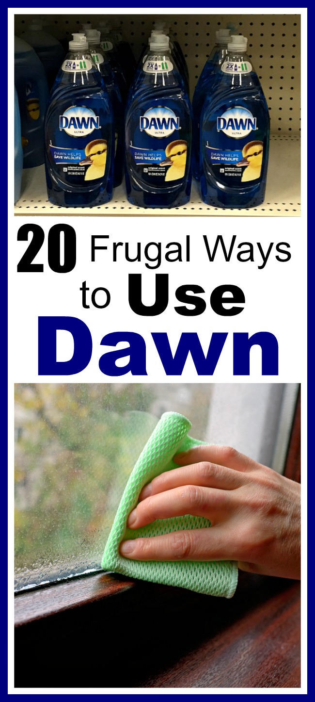 Not just the dishes but there are so many ways to use DAWN soap, you'll be surprised knowing them. Check out a few of the most frugal ways!